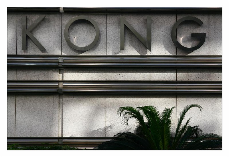 The Kong.JPG